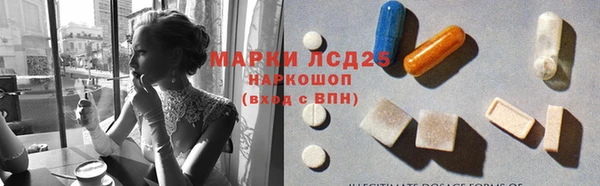 ПСИЛОЦИБИНОВЫЕ ГРИБЫ Карпинск