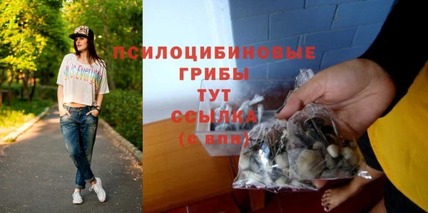 МДПВ Каменск-Шахтинский
