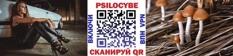 Галлюциногенные грибы прущие грибы Нижний Ломов